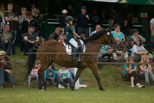 (c)SimoneHomberg_Ponyfest_Schauprogramm_20150606_0019