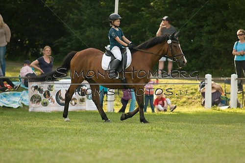 (c)SimoneHomberg_Ponyfest_Schauprogramm_20150606_0020