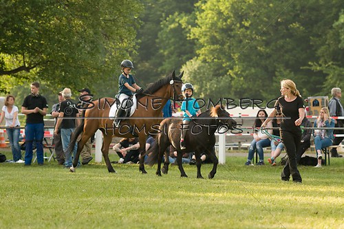 (c)SimoneHomberg_Ponyfest_Schauprogramm_20150606_0022