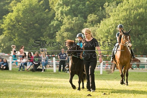 (c)SimoneHomberg_Ponyfest_Schauprogramm_20150606_0024