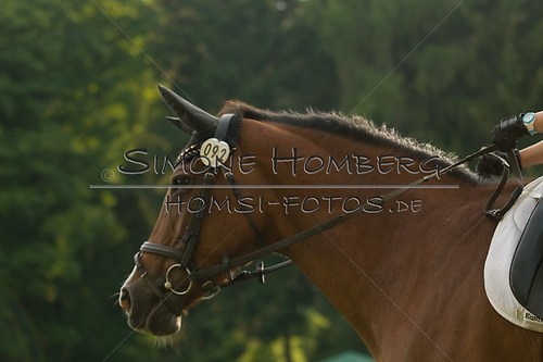 (c)SimoneHomberg_Ponyfest_Schauprogramm_20150606_0026