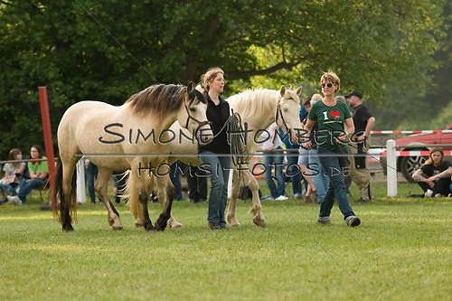 (c)SimoneHomberg_Ponyfest_Schauprogramm_20150606_0027