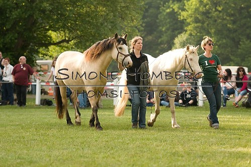 (c)SimoneHomberg_Ponyfest_Schauprogramm_20150606_0028