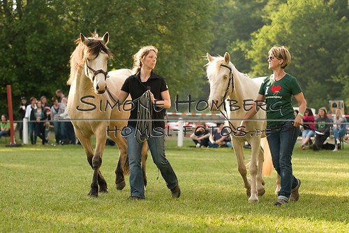 (c)SimoneHomberg_Ponyfest_Schauprogramm_20150606_0029