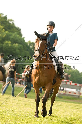 (c)SimoneHomberg_Ponyfest_Schauprogramm_20150606_0032