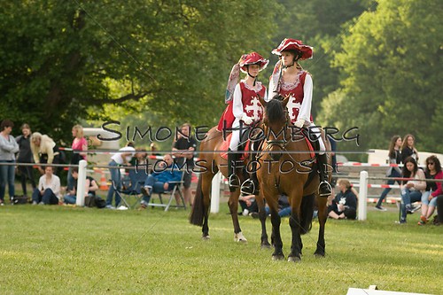 (c)SimoneHomberg_Ponyfest_Schauprogramm_20150606_0036