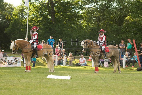 (c)SimoneHomberg_Ponyfest_Schauprogramm_20150606_0037