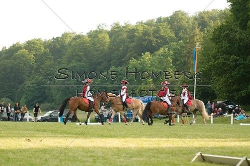 (c)SimoneHomberg_Ponyfest_Schauprogramm_20150606_0043