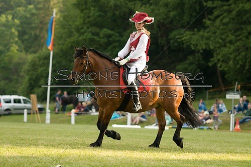 (c)SimoneHomberg_Ponyfest_Schauprogramm_20150606_0060