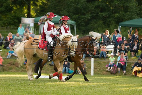 (c)SimoneHomberg_Ponyfest_Schauprogramm_20150606_0073