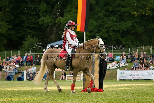 (c)SimoneHomberg_Ponyfest_Schauprogramm_20150606_0076