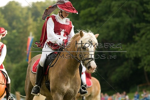 (c)SimoneHomberg_Ponyfest_Schauprogramm_20150606_0078