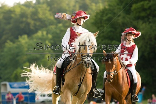 (c)SimoneHomberg_Ponyfest_Schauprogramm_20150606_0079