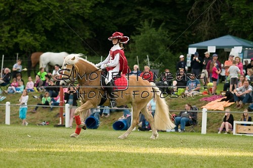 (c)SimoneHomberg_Ponyfest_Schauprogramm_20150606_0084