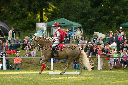 (c)SimoneHomberg_Ponyfest_Schauprogramm_20150606_0089