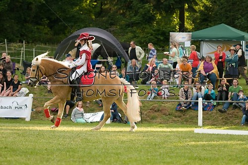 (c)SimoneHomberg_Ponyfest_Schauprogramm_20150606_0091