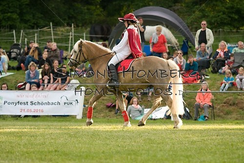 (c)SimoneHomberg_Ponyfest_Schauprogramm_20150606_0092