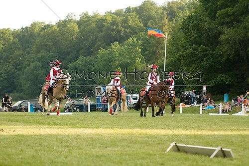 (c)SimoneHomberg_Ponyfest_Schauprogramm_20150606_0097