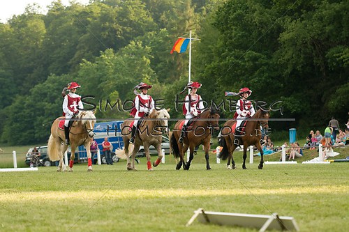 (c)SimoneHomberg_Ponyfest_Schauprogramm_20150606_0106