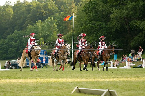 (c)SimoneHomberg_Ponyfest_Schauprogramm_20150606_0107