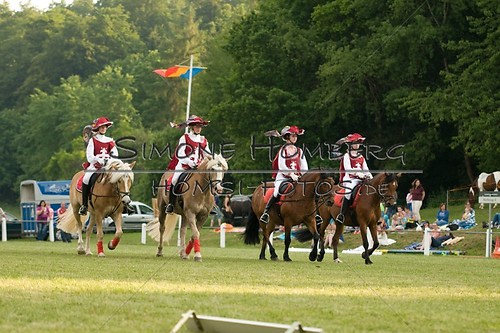 (c)SimoneHomberg_Ponyfest_Schauprogramm_20150606_0109