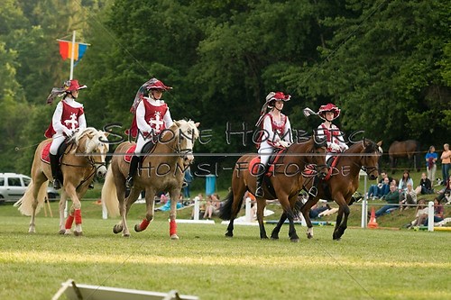 (c)SimoneHomberg_Ponyfest_Schauprogramm_20150606_0110