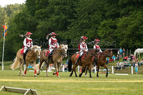 (c)SimoneHomberg_Ponyfest_Schauprogramm_20150606_0111