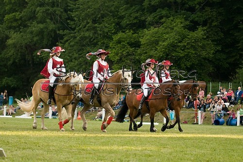 (c)SimoneHomberg_Ponyfest_Schauprogramm_20150606_0112