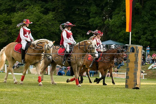 (c)SimoneHomberg_Ponyfest_Schauprogramm_20150606_0114