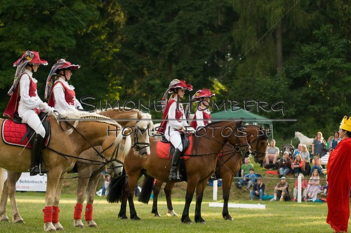 (c)SimoneHomberg_Ponyfest_Schauprogramm_20150606_0116