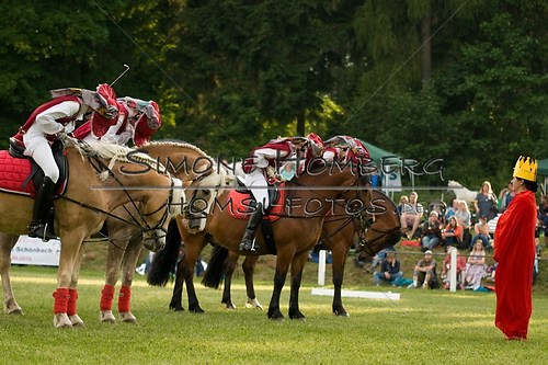 (c)SimoneHomberg_Ponyfest_Schauprogramm_20150606_0117
