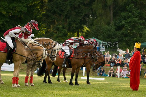 (c)SimoneHomberg_Ponyfest_Schauprogramm_20150606_0119