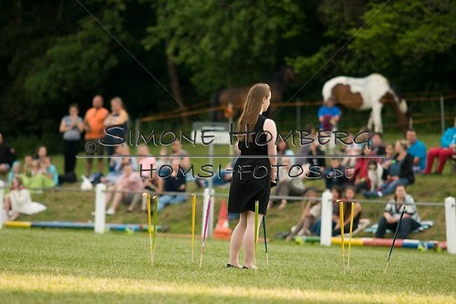 (c)SimoneHomberg_Ponyfest_Schauprogramm_20150606_0120