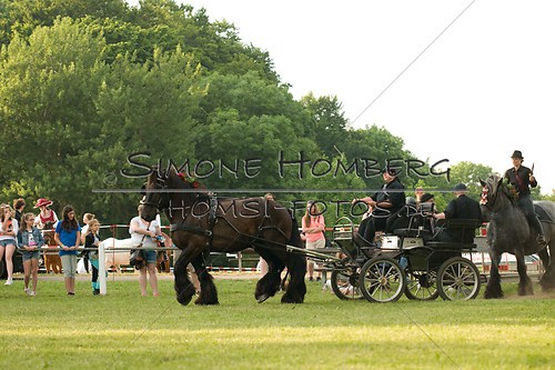 (c)SimoneHomberg_Ponyfest_Schauprogramm_20150606_0122