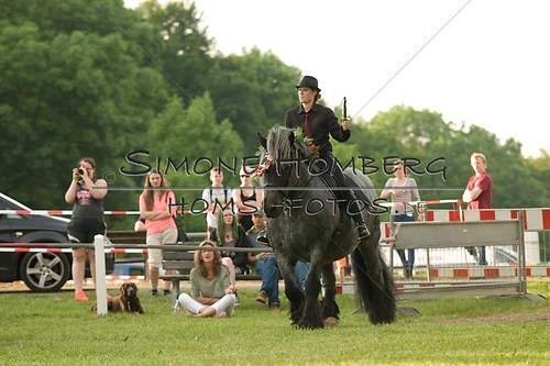 (c)SimoneHomberg_Ponyfest_Schauprogramm_20150606_0123