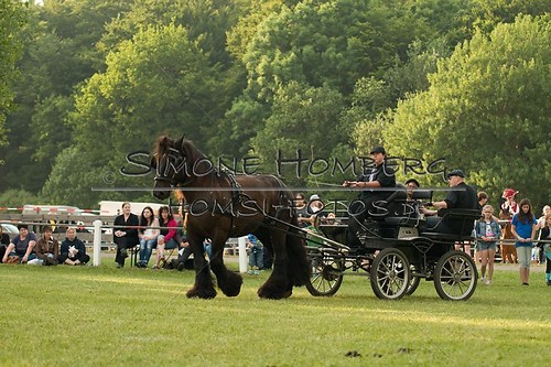 (c)SimoneHomberg_Ponyfest_Schauprogramm_20150606_0124