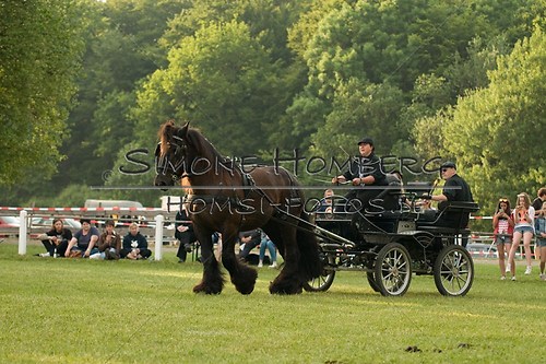 (c)SimoneHomberg_Ponyfest_Schauprogramm_20150606_0125