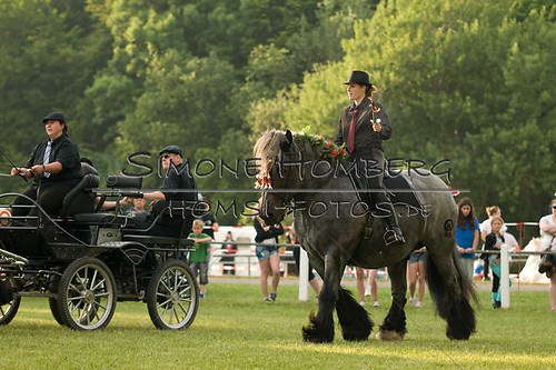 (c)SimoneHomberg_Ponyfest_Schauprogramm_20150606_0126