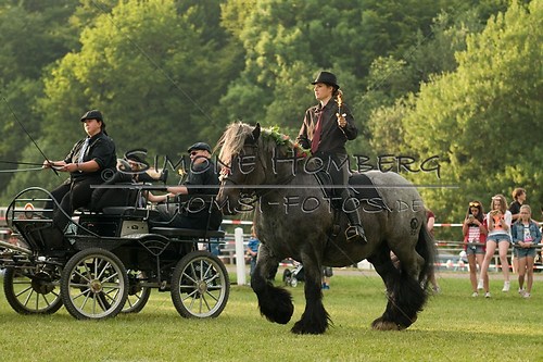 (c)SimoneHomberg_Ponyfest_Schauprogramm_20150606_0127