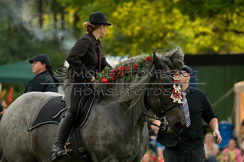 (c)SimoneHomberg_Ponyfest_Schauprogramm_20150606_0131