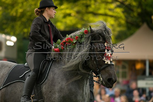(c)SimoneHomberg_Ponyfest_Schauprogramm_20150606_0132