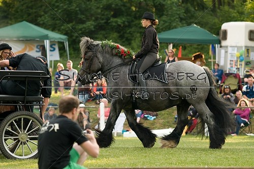 (c)SimoneHomberg_Ponyfest_Schauprogramm_20150606_0133