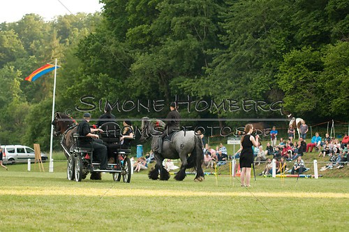 (c)SimoneHomberg_Ponyfest_Schauprogramm_20150606_0134