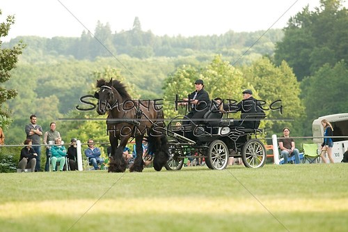 (c)SimoneHomberg_Ponyfest_Schauprogramm_20150606_0136
