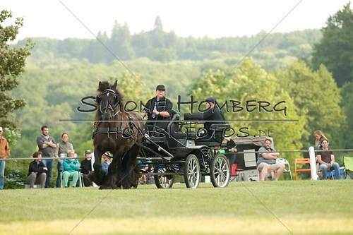 (c)SimoneHomberg_Ponyfest_Schauprogramm_20150606_0137