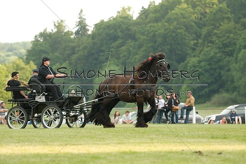 (c)SimoneHomberg_Ponyfest_Schauprogramm_20150606_0138