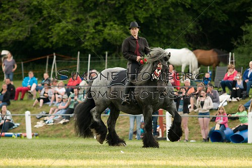 (c)SimoneHomberg_Ponyfest_Schauprogramm_20150606_0139