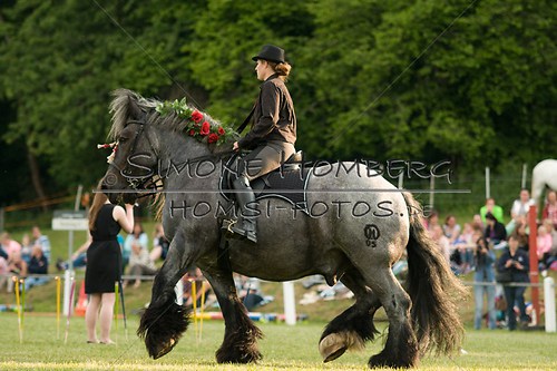 (c)SimoneHomberg_Ponyfest_Schauprogramm_20150606_0140