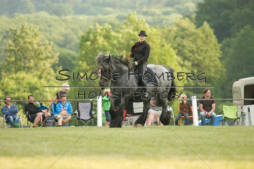 (c)SimoneHomberg_Ponyfest_Schauprogramm_20150606_0141