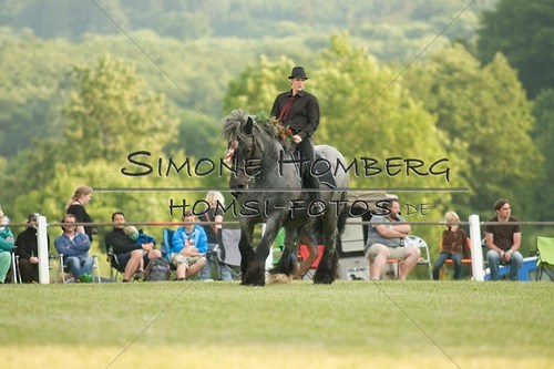 (c)SimoneHomberg_Ponyfest_Schauprogramm_20150606_0142